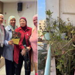 مصرية تروي للجزيرة نت رحلة تشخيصها بسرطان الثدي ومخاوفها قبل الجراحة — الجزيرة نت