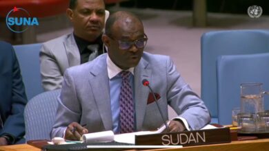 السودان يبلغ مجلس الأمن بتصاعد هجمات مسيرات منسوبة للدعم السريع — صورة وكالة السودان للأنباء
