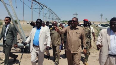 بدء ترتيبات إعادة تأهيل مشروع ود الزاكي الزراعي والحيواني بالنيل الأبيض — صورة وكالة السودان للأنباء