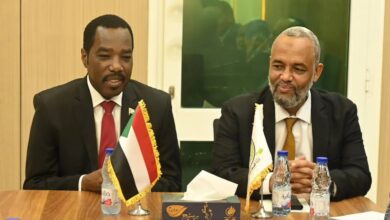 وزيرا الصحة والموارد البشرية في السودان يبحثان دعم الكوادر والتعافي الصحي — صورة وكالة السودان للأنباء