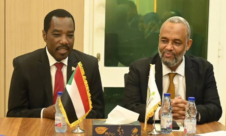 وزيرا الصحة والموارد البشرية في السودان يبحثان دعم الكوادر والتعافي الصحي — صورة وكالة السودان للأنباء