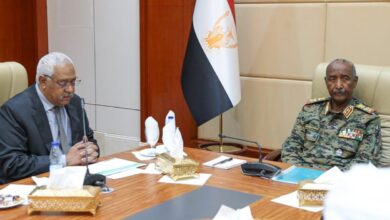 البرهان يؤكد اهتمام الدولة بتطوير مشروع الجزيرة والمناقل — صورة وكالة السودان للأنباء
