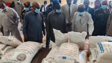 والي الجزيرة يعلن دعم توطين إنتاج تقاوي القمح ويطمئن على جاهزية الموسم الشتوي — صورة وكالة السودان للأنباء