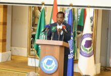 وزير الموارد البشرية: إعلان الخرطوم يمهد لتعاون عربي في تعافي وإعمار السودان — صورة وكالة السودان للأنباء