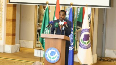 وزير الموارد البشرية: إعلان الخرطوم يمهد لتعاون عربي في تعافي وإعمار السودان — صورة وكالة السودان للأنباء