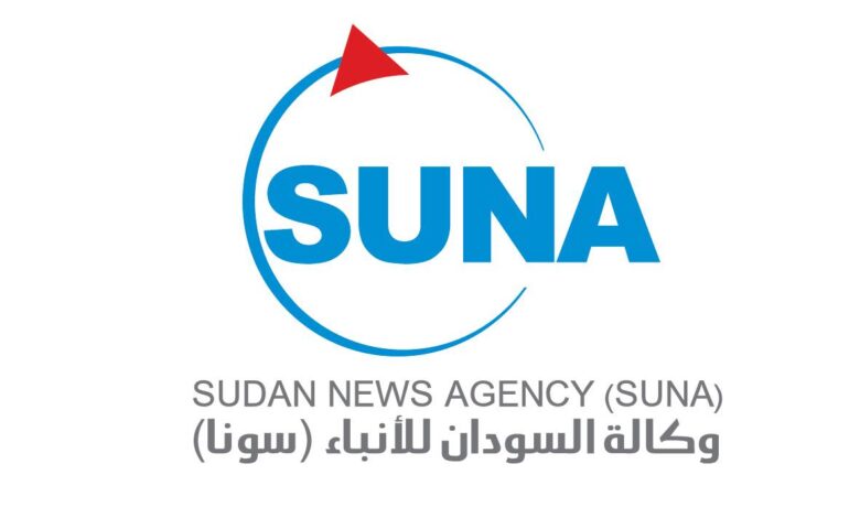 وزير إعلام دارفور يقول إن ضربات الجيش في نيالا ألحقت خسائر كبيرة بالدعم السريع — صورة وكالة السودان للأنباء