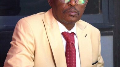 حكومة إقليم دارفور تدين قصفاً استهدف مدنيين في بئر سليبة — صورة وكالة السودان للأنباء