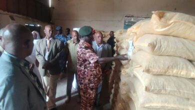 والي النيل الأبيض يدشن صادرات الصمغ العربي والسمسم الأبيض في كوستي — صورة وكالة السودان للأنباء