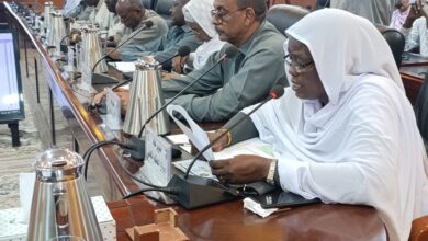 حكومة شمال كردفان تبحث أوضاع مشروعات الاستثمار الزراعي وخدمات بالولاية — صورة وكالة السودان للأنباء