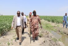 والي النيل الأبيض يتابع زراعة الذرة في مشروع الطويلة بمحلية قلي — صورة وكالة السودان للأنباء