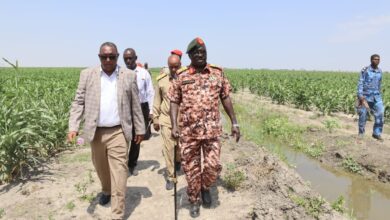 والي النيل الأبيض يتابع زراعة الذرة في مشروع الطويلة بمحلية قلي — صورة وكالة السودان للأنباء