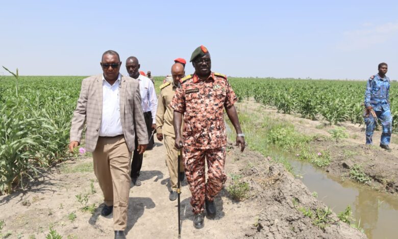 والي النيل الأبيض يتابع زراعة الذرة في مشروع الطويلة بمحلية قلي — صورة وكالة السودان للأنباء