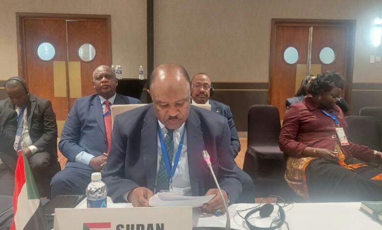 وزير الخارجية السوداني يدعو من لوساكا إلى وقف التدخلات الخارجية في إقليم البحيرات العظمى — صورة وكالة السودان للأنباء