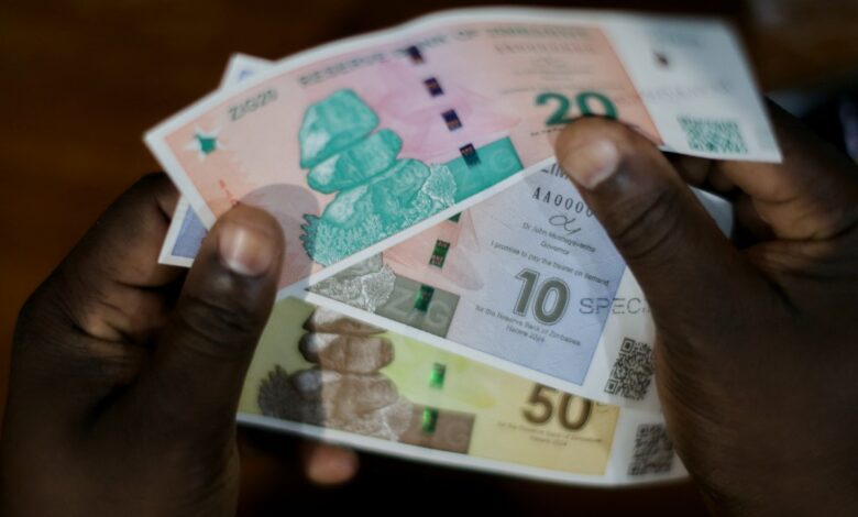 زيمبابوي تسعى لتوسيع استخدام عملة «زيغ» وسط حذر شعبي من إرث الأزمات — الجزيرة نت