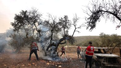 إصابات وهجمات على مزارعين فلسطينيين خلال موسم الزيتون في الضفة الغربية — الجزيرة نت / AFP