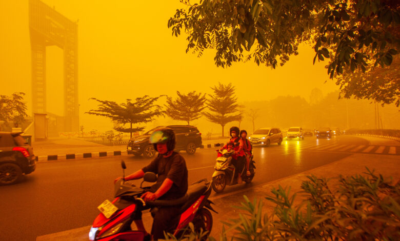 النينيو يفاقم مخاطر الجفاف والحرائق وأمن الغذاء في آسيا — الجزيرة نت / EPA
