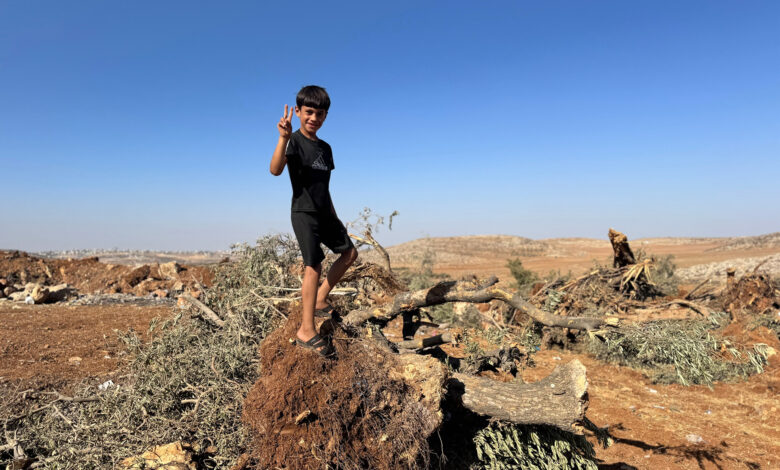 هيئة فلسطينية تتحدث عن تصاعد اعتداءات الجيش الإسرائيلي والمستوطنين خلال موسم الزيتون — الجزيرة نت