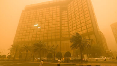 الصورة المرافقة لتقرير علمي عن تأثير رياح الشمال على مياه الخليج العربي